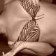 tigre..